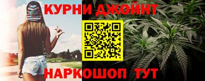 крисы Краснодар