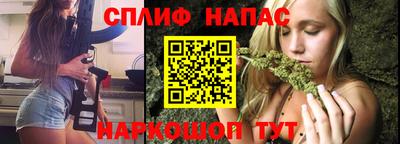 крисы Краснодар