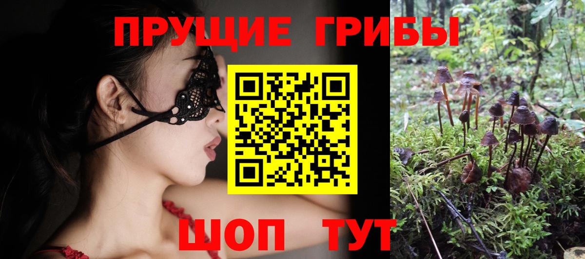 Псилоцибиновые грибы GOLDEN TEACHER  Вход с VPN  Галлюциногенные грибы Psilocybe  Каменск-Шахтинский 